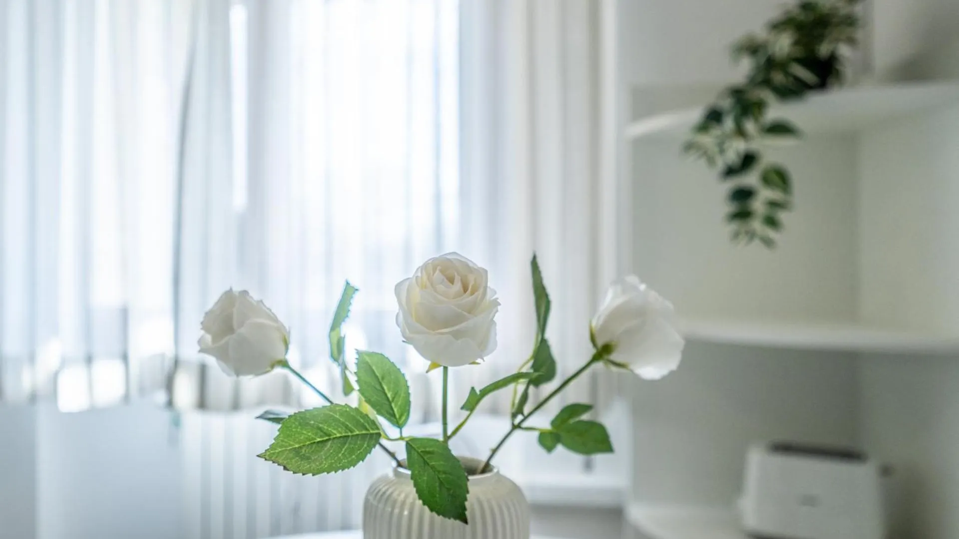 Apartment Casa Di Jeanbe By Pleiades Home Rosignano Solvay Italy